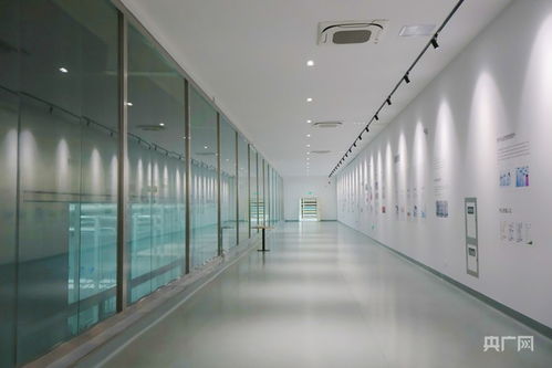 青聽經(jīng)濟(jì)之聲丨動(dòng)能集聚添活力 西引力澎湃升級(jí) 技術(shù)服務(wù)